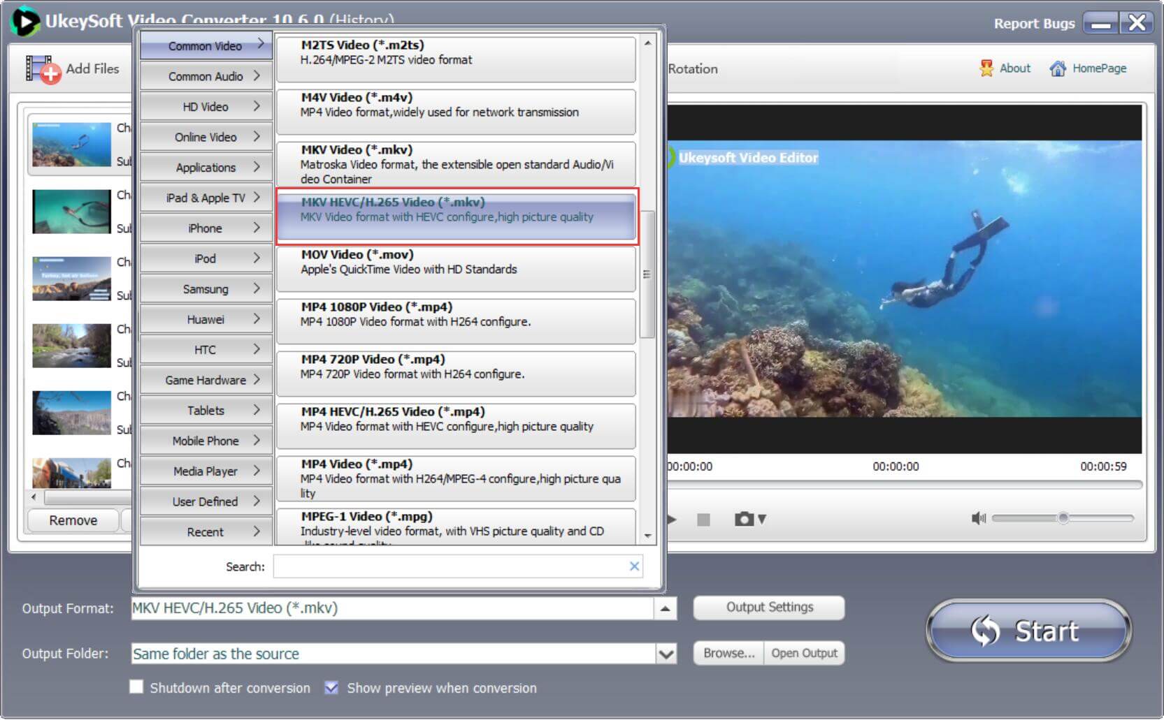 Choose MKV HEVC/H.265 as output format